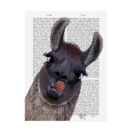 Trademark Fine Art Fab Funky 'Silly Llama' Canvas Art, 14x19 WAG12376-C1419GG